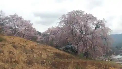 勝間薬師堂(長野県)