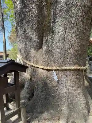 伊弉諾神宮の{uncategorized: "未分類", other: "その他", undefined: "問題あり", building: "その他建物", grave: "お墓", sacred_gate: "鳥居", guardian: "狛犬", statue: "像", buddha: "仏像", history: "歴史", nature: "自然", garden: "庭園", animal: "動物", pagoda: "塔", temizu: "手水舎", mountain_gate: "山門・神門", sanctuary: "本殿・本堂", subordinate: "末社・摂社", art: "芸術", scenery: "景色", jizo: "地蔵", ema: "絵馬", goshuin: "御朱印", omikuji: "おみくじ", items: "授与品その他", amulet: "お守り", goshuincho: "御朱印帳", eats: "食事", festival: "お祭り", votive_dance: "神楽", shichigosan: "七五三参", wedding: "結婚式", experience: "体験その他", initially: "初詣", around: "周辺", anti_infection: "感染症対策"}
