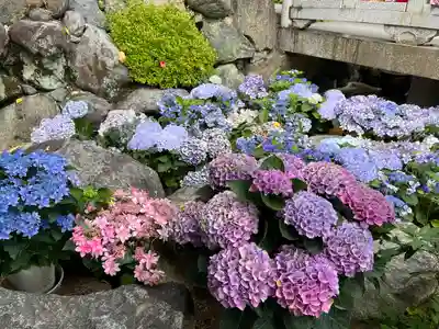 岡寺(龍蓋寺)(奈良県)