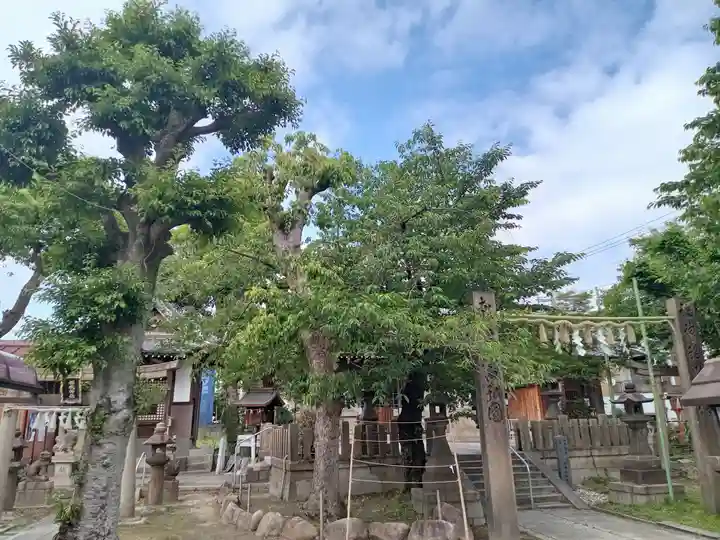 住吉神社の自然