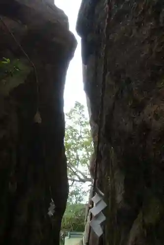 阿賀神社の自然