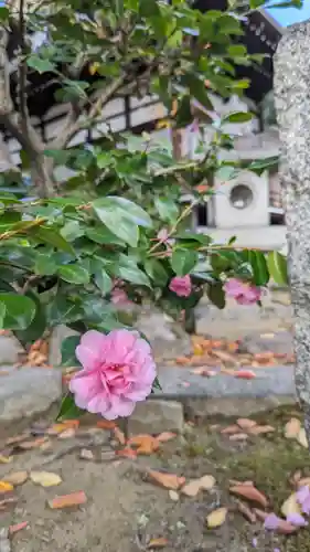 本満寺（本願満足寺）(京都府)