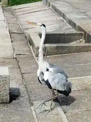 東寺（教王護国寺）(京都府)