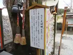 天之御中主神社の自然