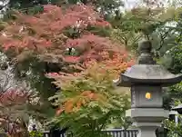 比々多神社のその他建物