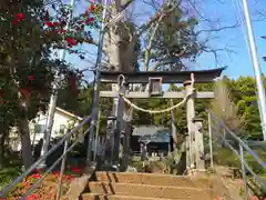 飯守神社の鳥居