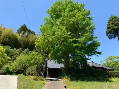 大慈寺のその他建物