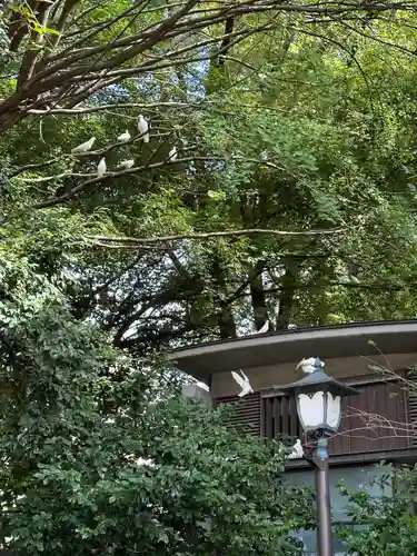 靖國神社(東京都)