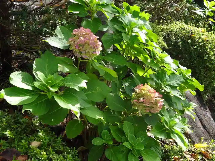日蓮宗 宗門史跡 妙法寺の自然