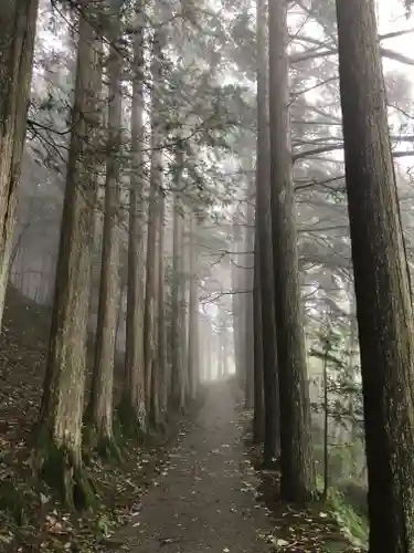 三峯神社の周辺