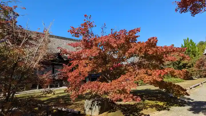 勧修寺(京都府)