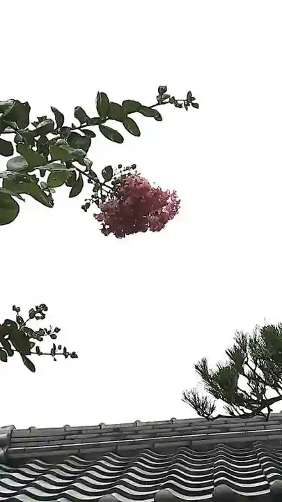 西方山極楽寺の自然