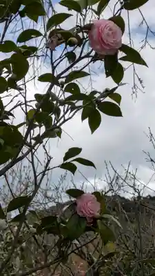 惠心院(京都府)