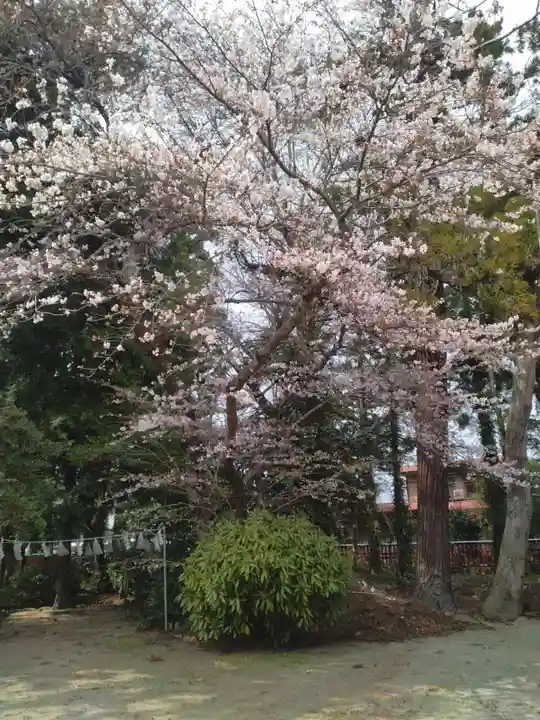 祇園八坂神社(宮城県)