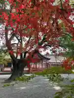 津島神社の{uncategorized: "未分類", other: "その他", undefined: "問題あり", building: "その他建物", grave: "お墓", sacred_gate: "鳥居", guardian: "狛犬", statue: "像", buddha: "仏像", history: "歴史", nature: "自然", garden: "庭園", animal: "動物", pagoda: "塔", temizu: "手水舎", mountain_gate: "山門・神門", sanctuary: "本殿・本堂", subordinate: "末社・摂社", art: "芸術", scenery: "景色", jizo: "地蔵", ema: "絵馬", goshuin: "御朱印", omikuji: "おみくじ", items: "授与品その他", amulet: "お守り", goshuincho: "御朱印帳", eats: "食事", festival: "お祭り", votive_dance: "神楽", shichigosan: "七五三参", wedding: "結婚式", experience: "体験その他", initially: "初詣", around: "周辺", anti_infection: "感染症対策"}