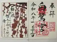 兵庫縣姫路護國神社の御朱印