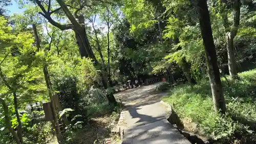 賀茂御祖神社（下鴨神社）(京都府)