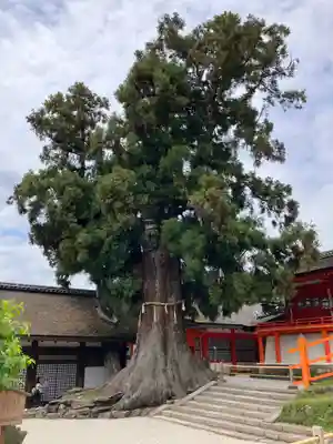 春日大社(奈良県)