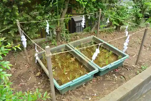 横浜御嶽神社(神奈川県)