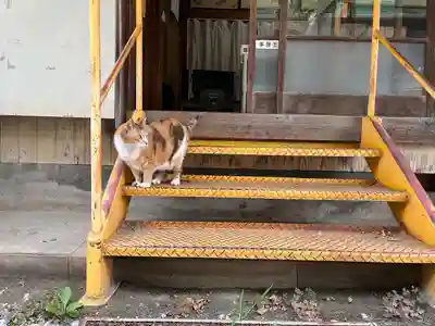 秩父札所十三番 慈眼寺(埼玉県)