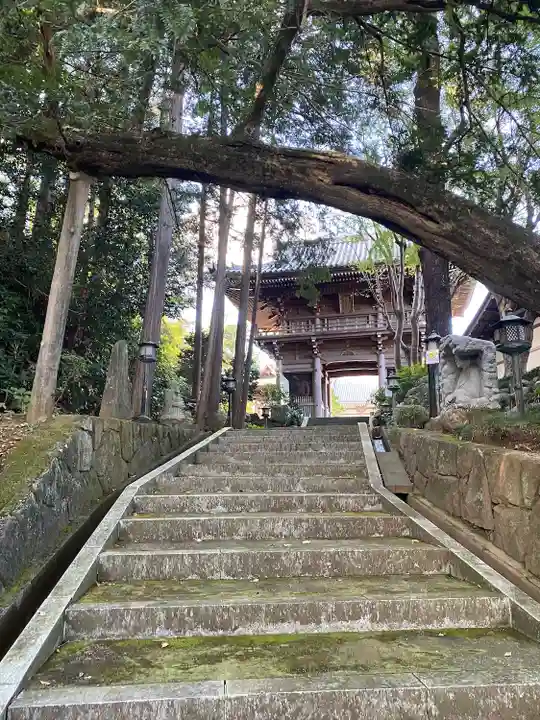 寳光寺 鹿野大佛(東京都)