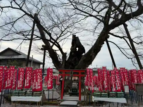 秩父今宮神社の{uncategorized: "未分類", other: "その他", undefined: "問題あり", building: "その他建物", grave: "お墓", sacred_gate: "鳥居", guardian: "狛犬", statue: "像", buddha: "仏像", history: "歴史", nature: "自然", garden: "庭園", animal: "動物", pagoda: "塔", temizu: "手水舎", mountain_gate: "山門・神門", sanctuary: "本殿・本堂", subordinate: "末社・摂社", art: "芸術", scenery: "景色", jizo: "地蔵", ema: "絵馬", goshuin: "御朱印", omikuji: "おみくじ", items: "授与品その他", amulet: "お守り", goshuincho: "御朱印帳", eats: "食事", festival: "お祭り", votive_dance: "神楽", shichigosan: "七五三参", wedding: "結婚式", experience: "体験その他", initially: "初詣", around: "周辺", anti_infection: "感染症対策"}