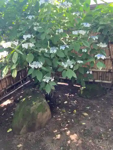 寶安寺（宝安寺）(神奈川県)