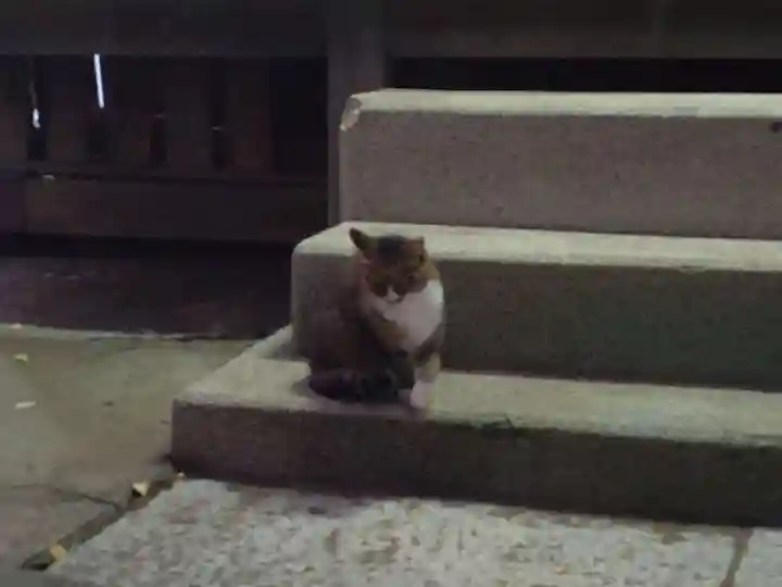 本塩豊受神社の動物