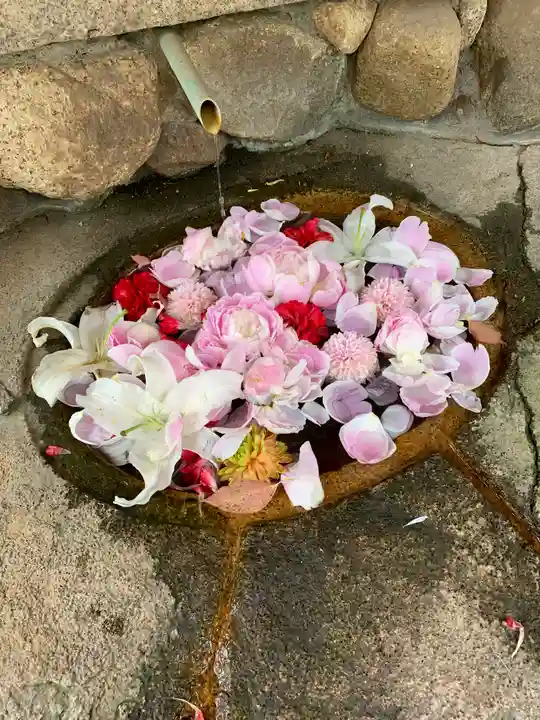 生田神社の手水舎