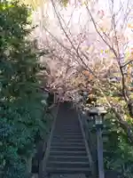 新羽杉山神社の自然