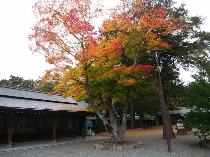 北海道神宮の自然