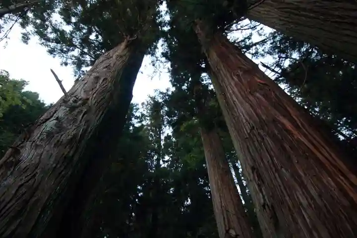 鹿島大神宮の自然