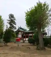 諏訪神社(埼玉県)