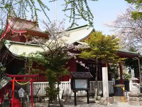 （芝生）浅間神社の本殿・本堂