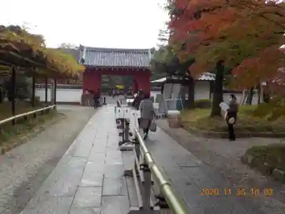 平等院の山門・神門