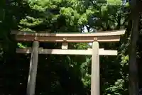 明治神宮(東京都)