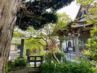 妙隆寺(神奈川県)