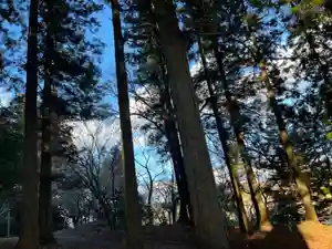 大宮温泉神社(栃木県)(2024年02月27日(火) 08時13分29秒投稿)