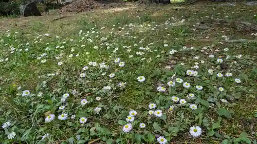 山部神社の自然