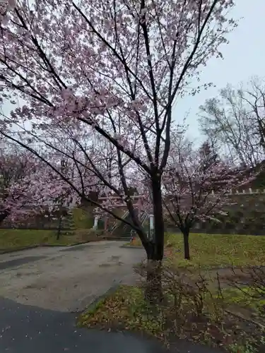厚別神社の自然