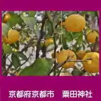 粟田神社の自然