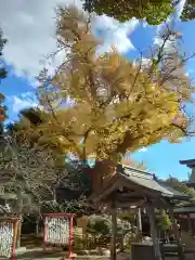 荏柄天神社(神奈川県)