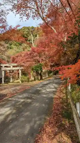 乗願寺の鳥居