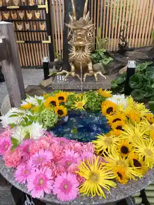 白山神社(新潟県)