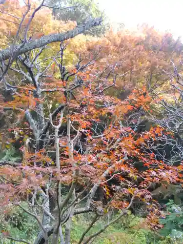 瑞泉寺の庭園