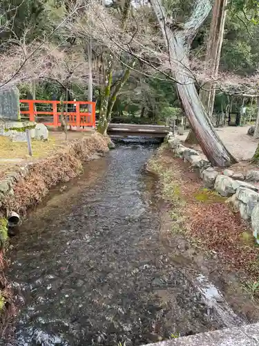 賀茂別雷神社（上賀茂神社）(京都府)