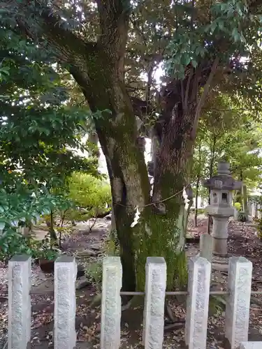 伊勢神社の自然