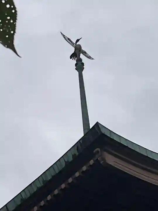 大雲院(京都府)