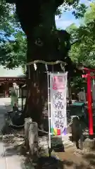 新田神社の建物その他