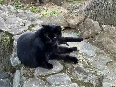 王子神社の動物